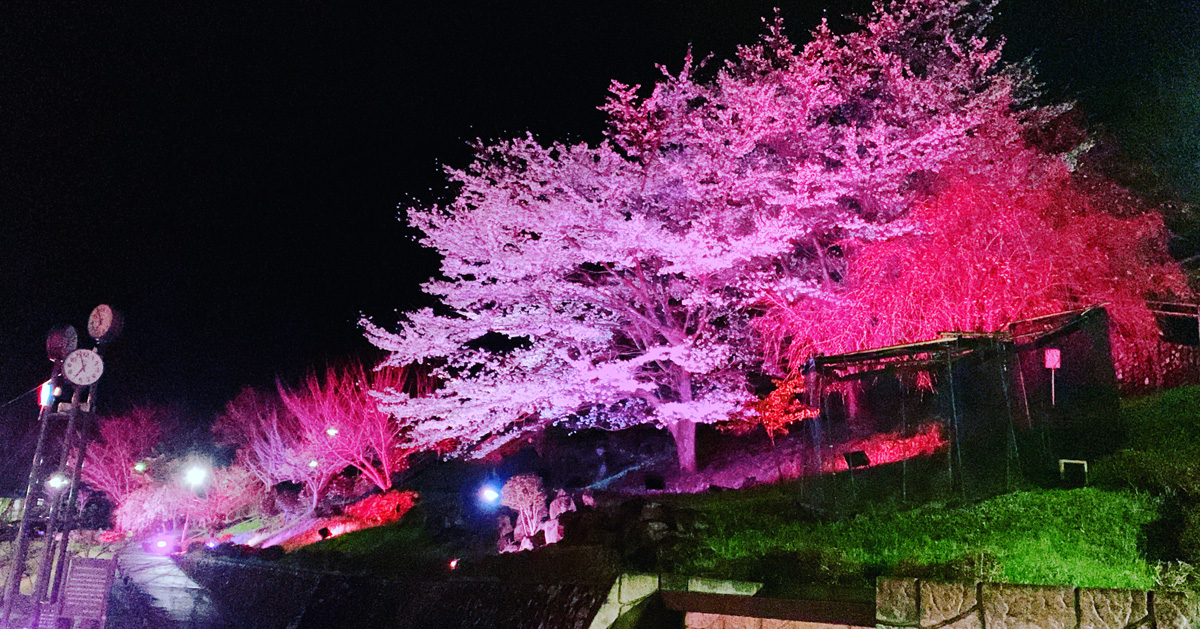 ふるさとふれあい公園ライトアップ1