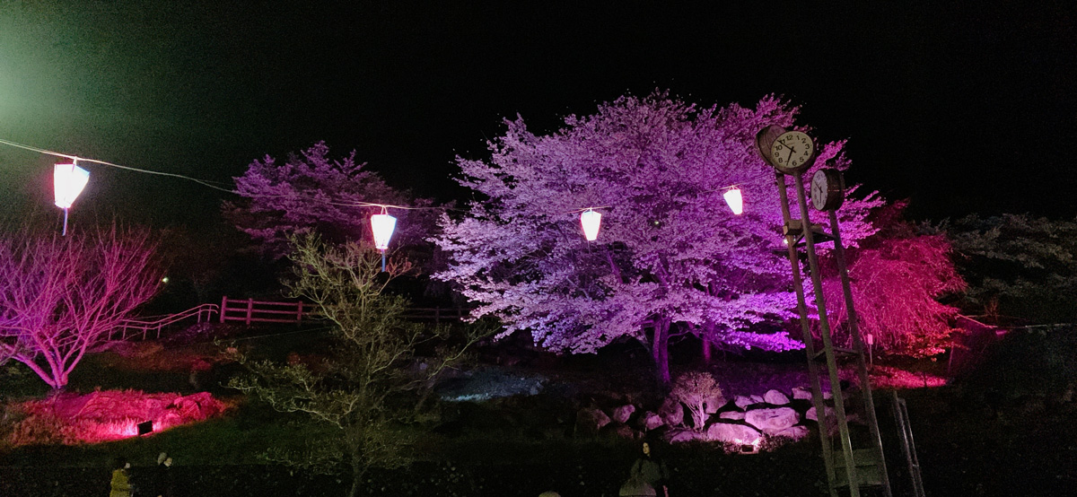 ふるさとふれあい公園ライトアップ2